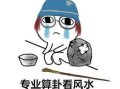 风水起源与科学依据（发展脉络）紫微斗数风水体系运用