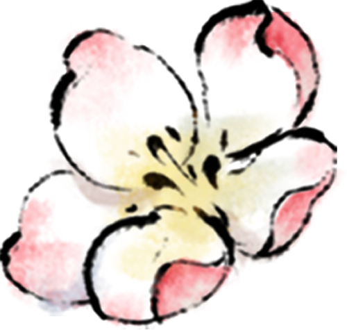 紫微斗数0基础入门：教你看懂自己的六条人生命运轨迹线-第1张图片-易秘