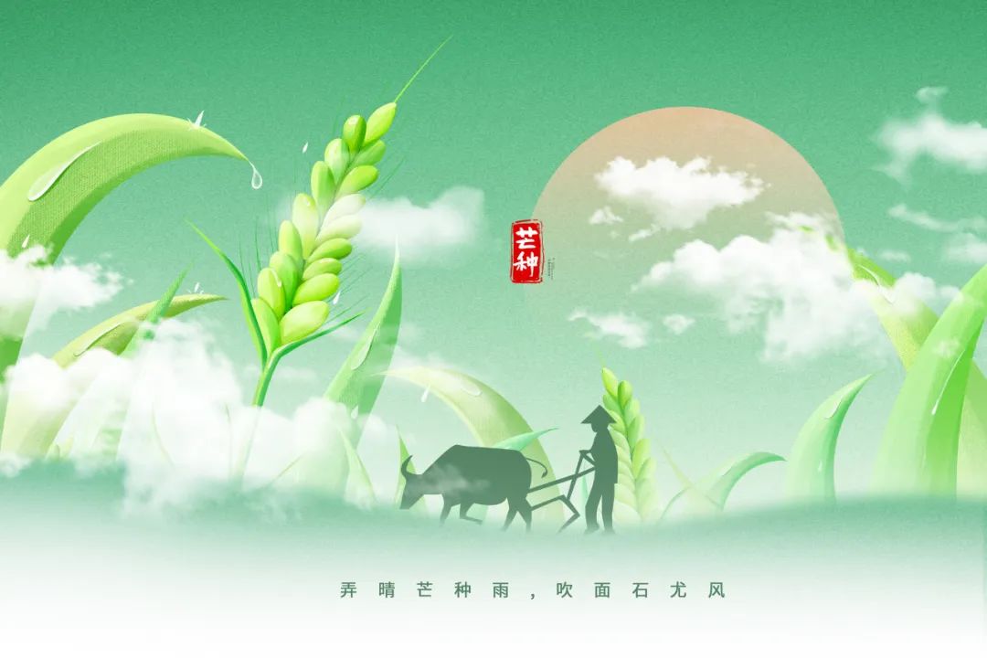 芒种养生小知识（十大最佳方法）重点小妙招大全-第1张图片-易秘