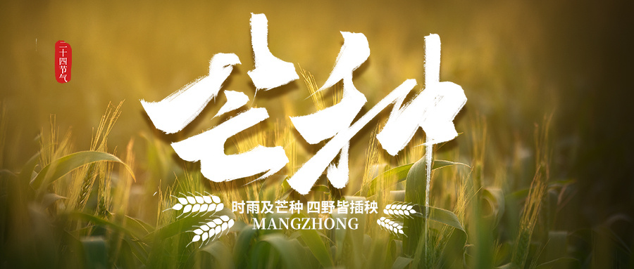 芒种养生小知识（十大最佳方法）重点小妙招大全-第2张图片-易秘