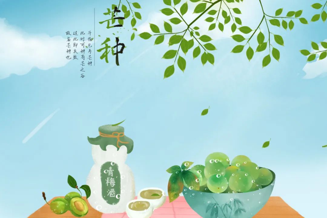 芒种养生小知识（十大最佳方法）重点小妙招大全-第5张图片-易秘