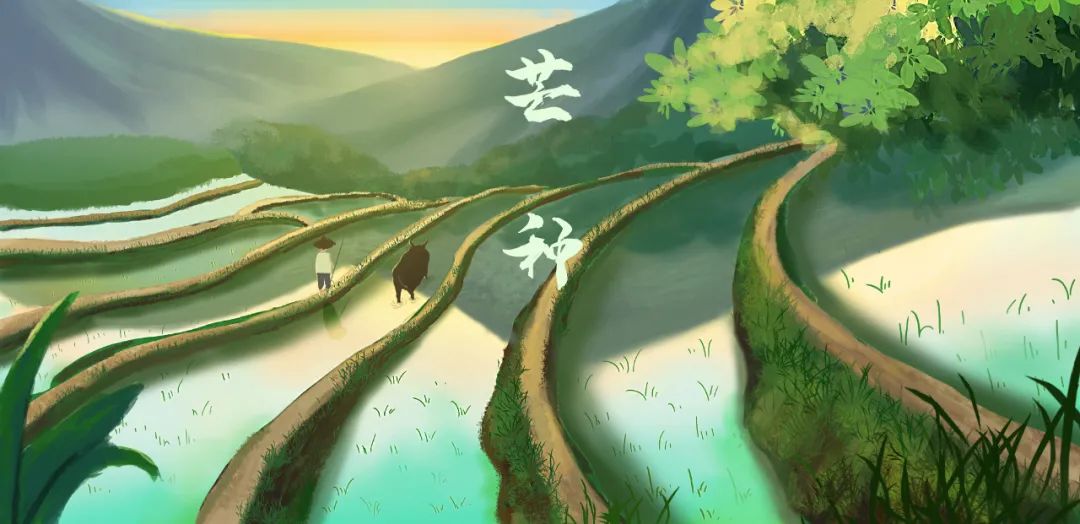 芒种养生小知识（十大最佳方法）重点小妙招大全-第7张图片-易秘