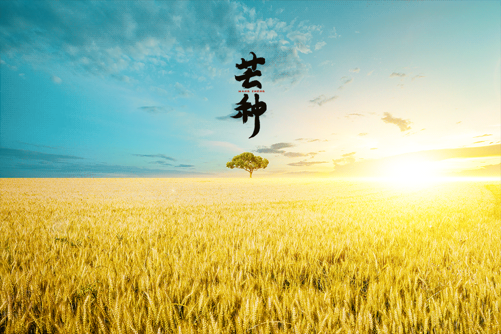 芒种养生小知识（十大最佳方法）重点小妙招大全-第16张图片-易秘