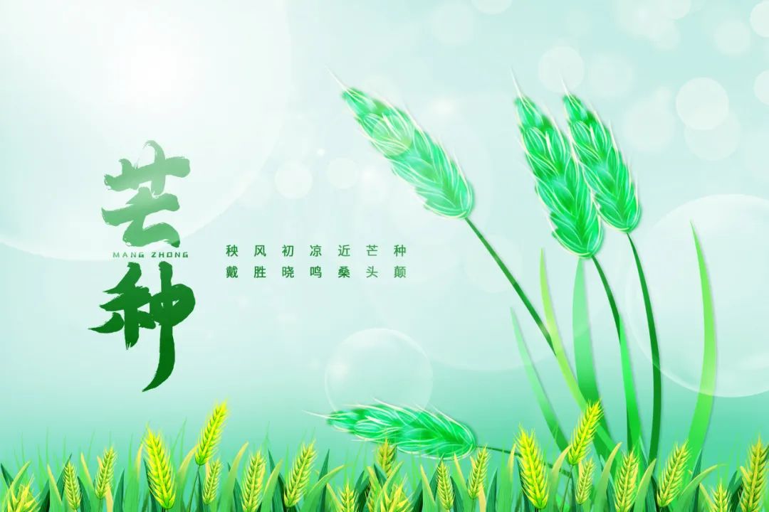 芒种养生小知识（十大最佳方法）重点小妙招大全-第17张图片-易秘