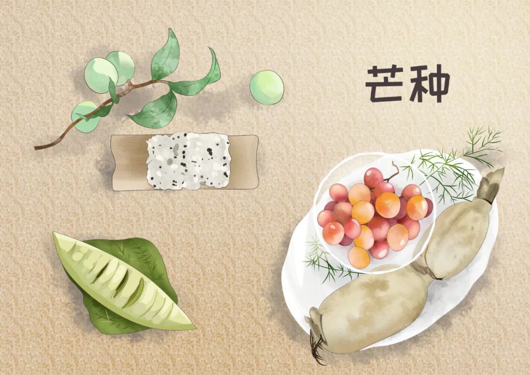 芒种养生小知识（十大最佳方法）重点小妙招大全-第20张图片-易秘