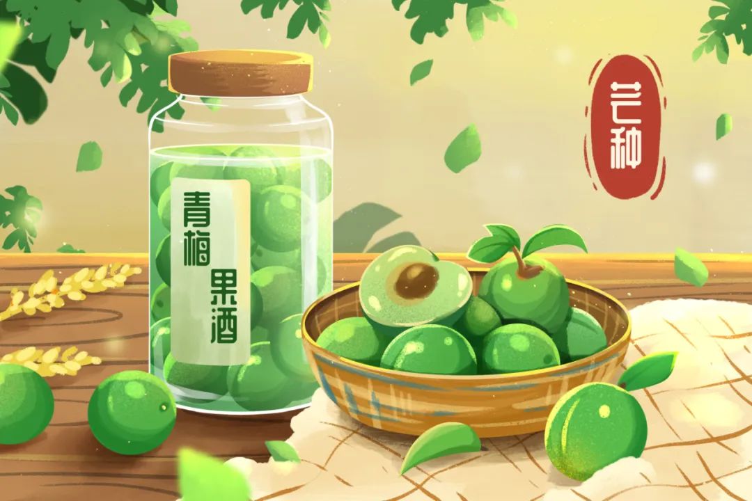 芒种养生小知识（十大最佳方法）重点小妙招大全-第21张图片-易秘