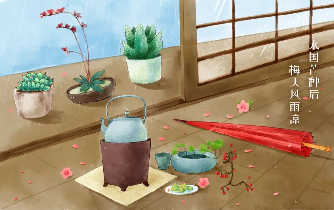 芒种养生小知识（十大最佳方法）重点小妙招大全-第22张图片-易秘