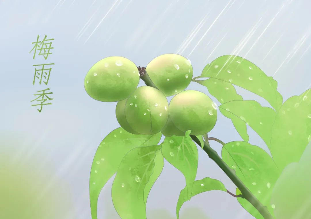 芒种养生小知识（十大最佳方法）重点小妙招大全-第24张图片-易秘
