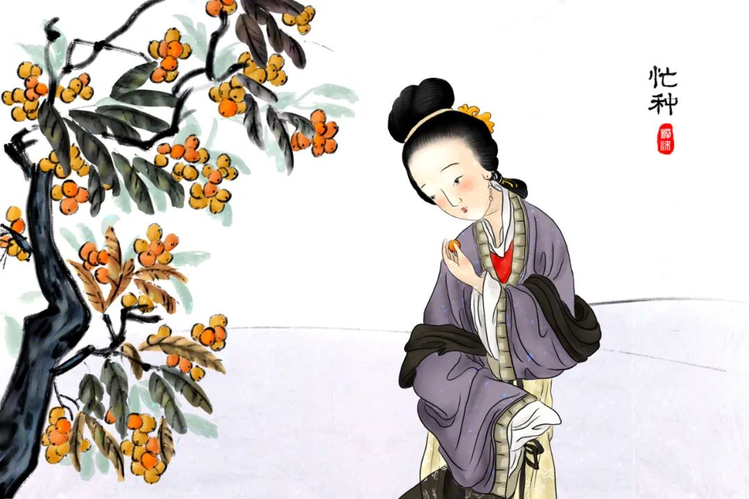 芒种养生小知识（十大最佳方法）重点小妙招大全-第26张图片-易秘