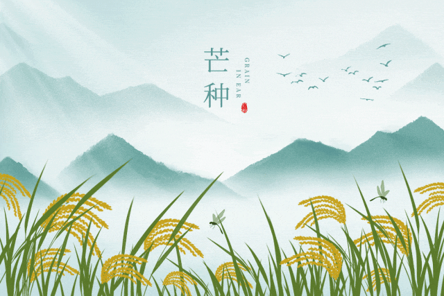 芒种养生小知识（十大最佳方法）重点小妙招大全-第25张图片-易秘