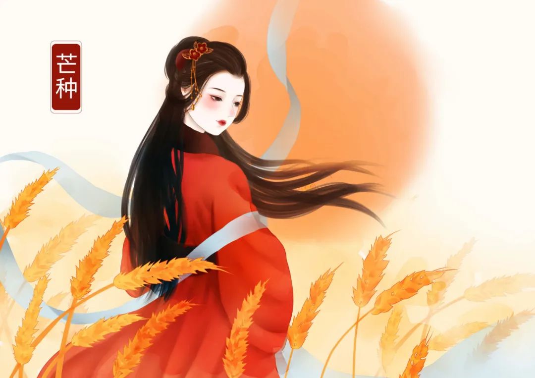 芒种养生小知识（十大最佳方法）重点小妙招大全-第29张图片-易秘
